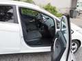 Ford Fiesta Fiesta 1.4 TDCi Titanium DPF Wit - thumbnail 2