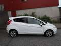Ford Fiesta Fiesta 1.4 TDCi Titanium DPF Wit - thumbnail 6