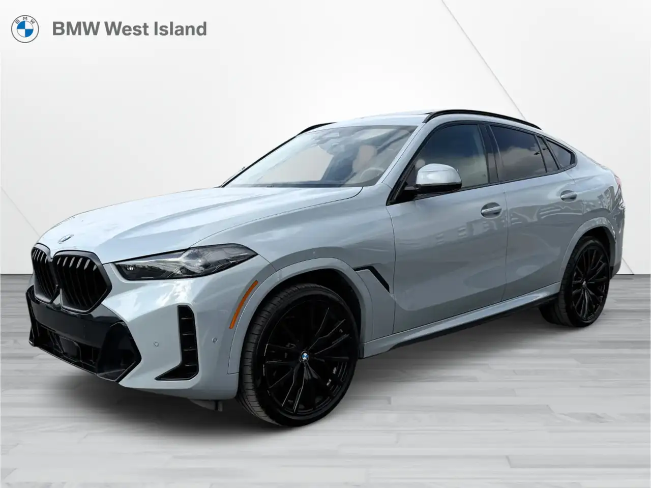 2024 BMW X6