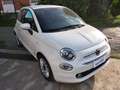 Fiat 500 500 1.2 Lounge easypower Gpl 69cv PARI AL NUOVO!! Bianco - thumbnail 1