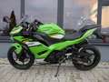 Kawasaki Ninja 500 SE - 2024 / 2025 - 4 Jahre Garantie - thumbnail 3