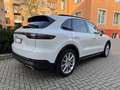 Porsche Cayenne E-Hybrid(Luft/BOSE/AHK/Pano Weiß - thumbnail 3