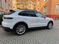 Porsche Cayenne E-Hybrid(Luft/BOSE/AHK/Pano Weiß - thumbnail 7