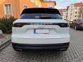 Porsche Cayenne E-Hybrid(Luft/BOSE/AHK/Pano Weiß - thumbnail 8