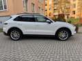 Porsche Cayenne E-Hybrid(Luft/BOSE/AHK/Pano Weiß - thumbnail 2