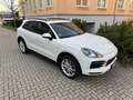 Porsche Cayenne E-Hybrid(Luft/BOSE/AHK/Pano Weiß - thumbnail 6