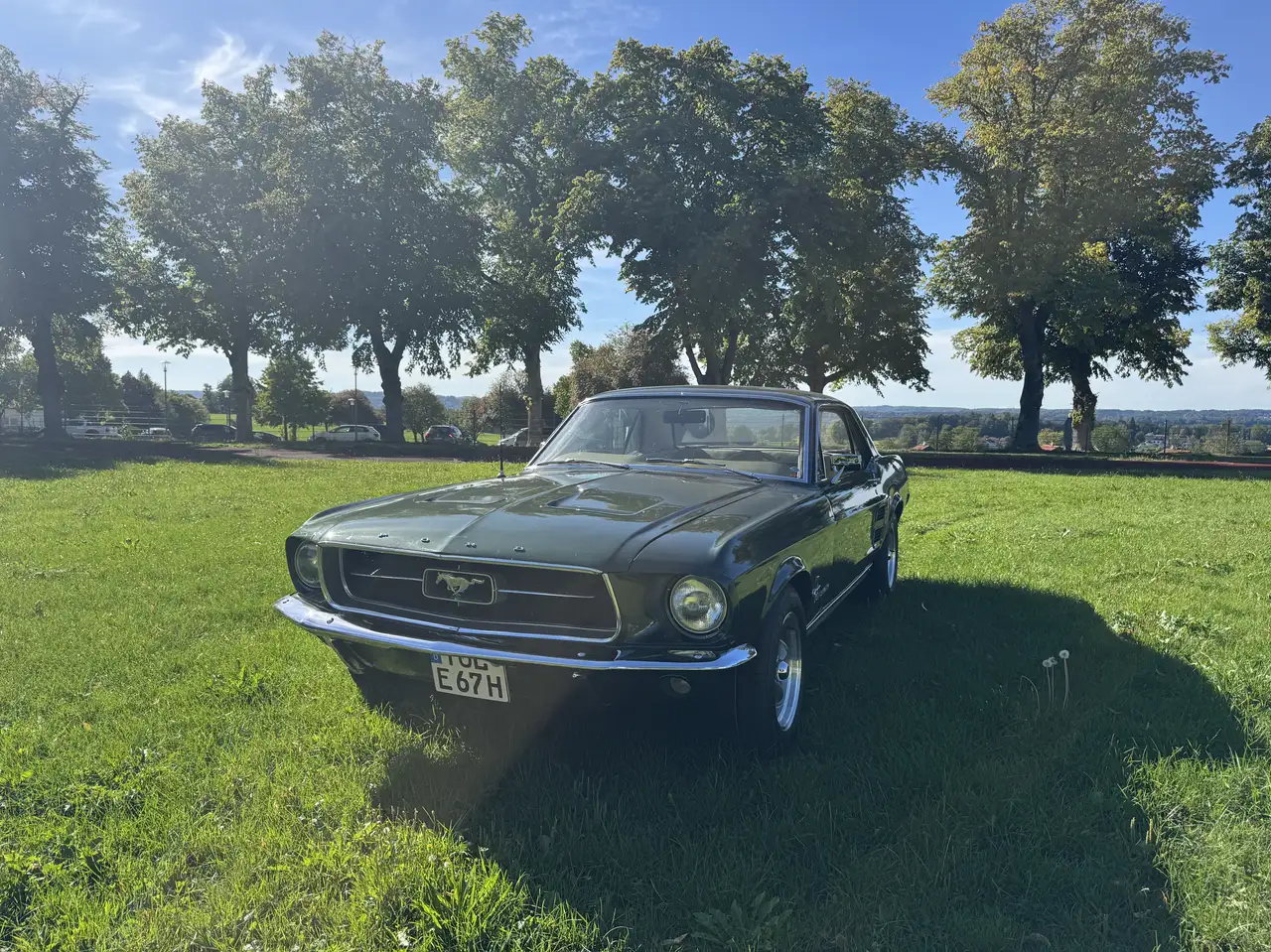 Ford Mustang 289, foto 2