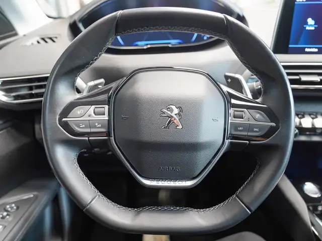 Peugeot 3008 view 13