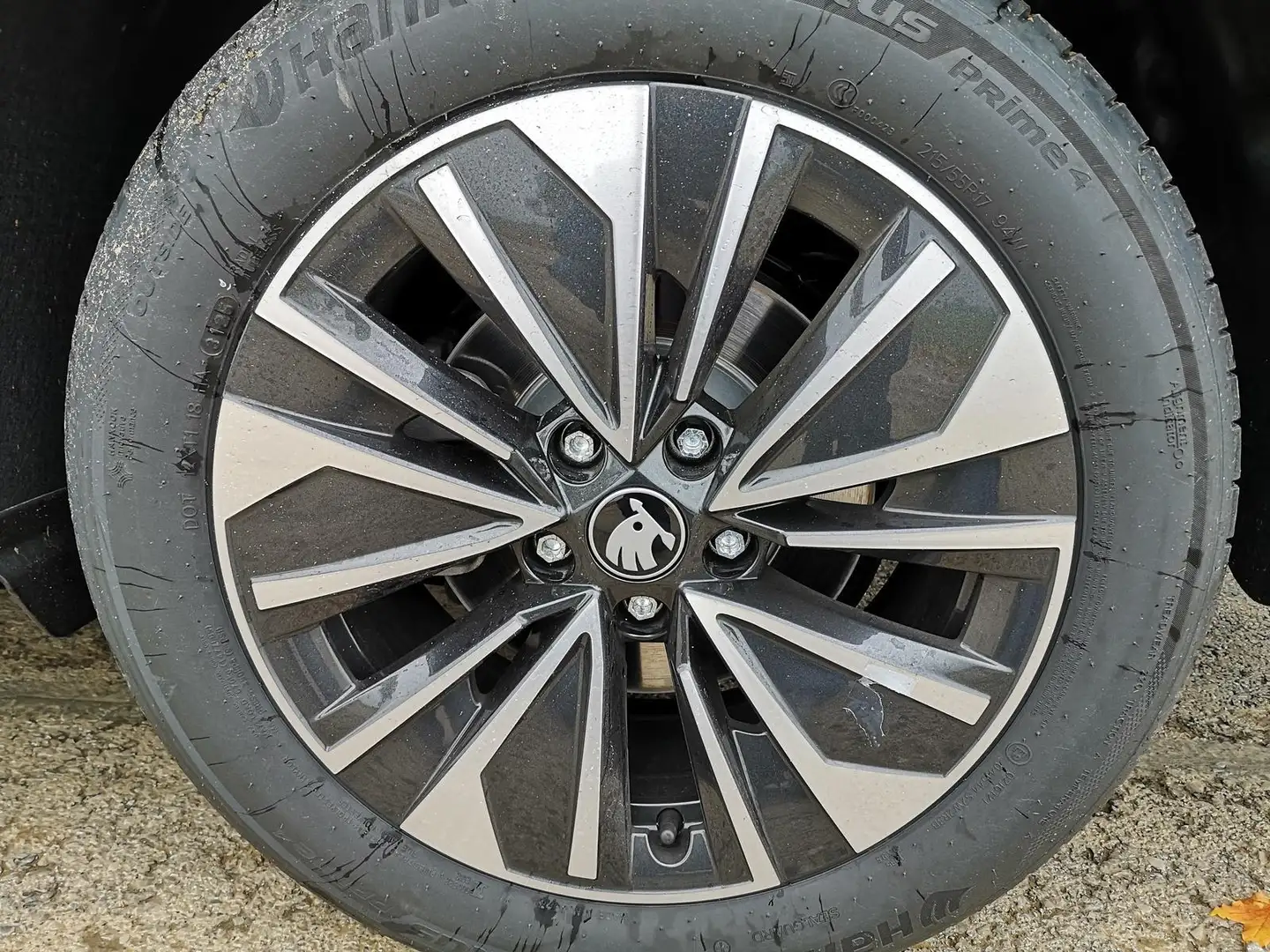 Skoda Superb Combi 2.0 TDI 142kW 4x4 Selection DSG AHK 142 k... Gris - 1