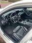 Mercedes-Benz C 250 C 250 Prestige Wit - thumbnail 2