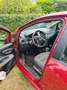 Fiat Punto Evo Punto Evo 1.3 Multijet 16V 75 Dynamic Rouge - thumbnail 3