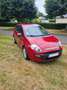 Fiat Punto Evo Punto Evo 1.3 Multijet 16V 75 Dynamic Rouge - thumbnail 1