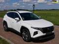 Hyundai TUCSON 1.6 CRDi 48V Comfort AUT 2020 Weiß - thumbnail 1