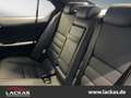 Lexus F-Sport Performance Premium*Import*CarPlay* Wit - thumbnail 10