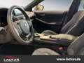 Lexus F-Sport Performance Premium*Import*CarPlay* Wit - thumbnail 6