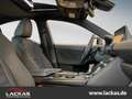 Lexus F-Sport Performance Premium*Import*CarPlay* Wit - thumbnail 8
