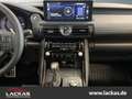 Lexus F-Sport Performance Premium*Import*CarPlay* Wit - thumbnail 12