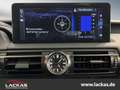 Lexus F-Sport Performance Premium*Import*CarPlay* Wit - thumbnail 13