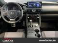 Lexus F-Sport Performance Premium*Import*CarPlay* Wit - thumbnail 11