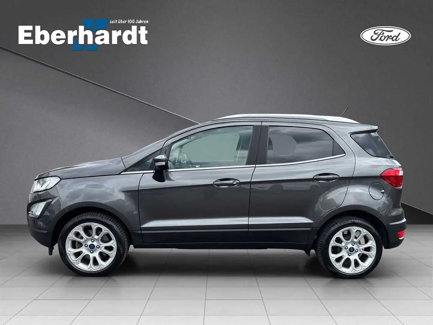 Ford EcoSport Titanium Gris - 2