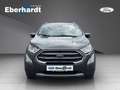 Ford EcoSport Titanium Gris - thumbnail 8