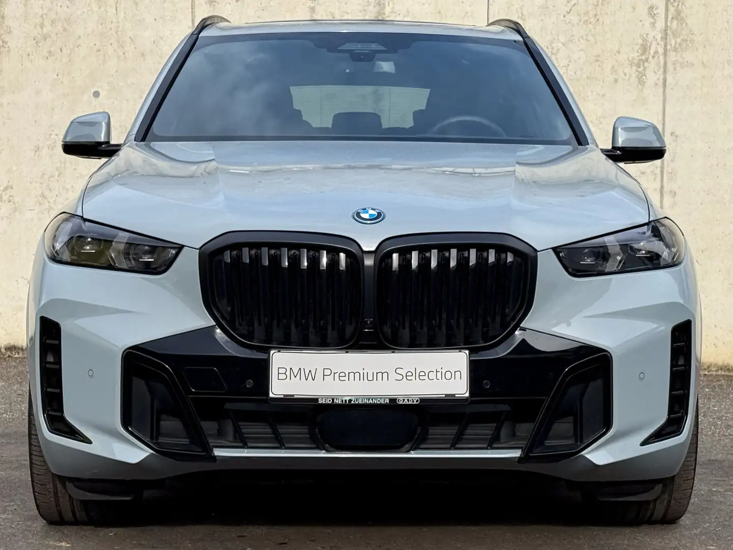 BMW X5 xDrive50e M-Sportpaket Pro Grau - 2