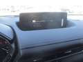Mazda MX-30 Mazda MX-30 /R-EV / Exclusive-Line Grau - thumbnail 19