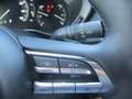 Mazda MX-30 Mazda MX-30 /R-EV / Exclusive-Line Grau - thumbnail 17