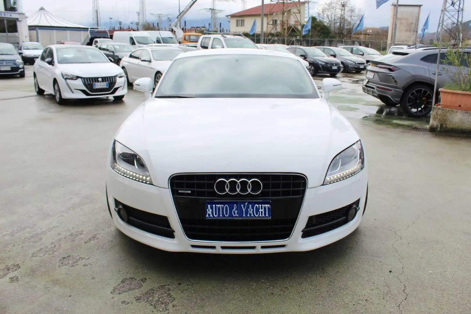 Audi Coupe 2.0 tdi Advanced Plus quattro S-Line Bianco - 2