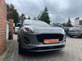 Ford Puma Navi Kamera Grau - thumbnail 5