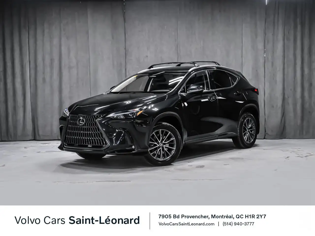2023 Lexus NX