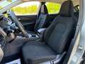 Nissan Qashqai DIG-T 116kW (158CV) mHEV Xtronic Acenta Gris - thumbnail 11