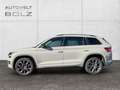 Skoda Kodiaq RS 4x4 2.0 TDI StandHZG Navi Leder Kamera DigiCock Gris - thumbnail 7