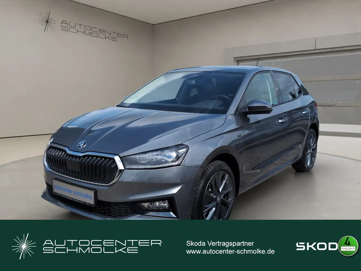 Skoda Fabia Fabia 1.0 TSI Tour *LED*SHZ*PDC Klima/Sitzhzg./BC Grau - 1