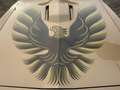 Pontiac Trans Am Firebird 6.6 T Sarı - thumbnail 14
