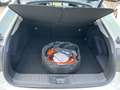Toyota Prius 2.0 Plugin Hybrid Advanced,Navi,Matrix,360 Blanco - thumbnail 12