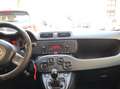 Fiat Panda Panda III 2016 1.3 mjt 16v Easy s Rouge - thumbnail 14