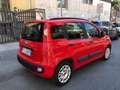 Fiat Panda Panda III 2016 1.3 mjt 16v Easy s Rouge - thumbnail 5