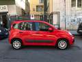 Fiat Panda Panda III 2016 1.3 mjt 16v Easy s Rouge - thumbnail 6