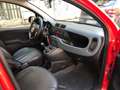 Fiat Panda Panda III 2016 1.3 mjt 16v Easy s Rouge - thumbnail 18