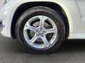 Mercedes-Benz GLK 220 CDI*AUTOM.*112TKM*PANO*NAVI*XEN*LEDER* Weiß - thumbnail 20