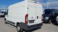 Fiat Ducato 115 L2 H2 Weiß - thumbnail 4