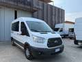 Ford Transit Bus 2.0/9 POSTI/PULLMINO/EURO 6D-TEMP/2019 Blanco - thumbnail 3