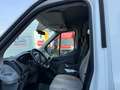 Ford Transit Bus 2.0/9 POSTI/PULLMINO/EURO 6D-TEMP/2019 Blanco - thumbnail 7