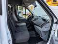 Ford Transit Bus 2.0/9 POSTI/PULLMINO/EURO 6D-TEMP/2019 Blanco - thumbnail 8