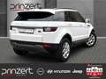 Land Rover Range Rover Evoque 2.0 4WD "Pure" Allwetter Fehér - thumbnail 3