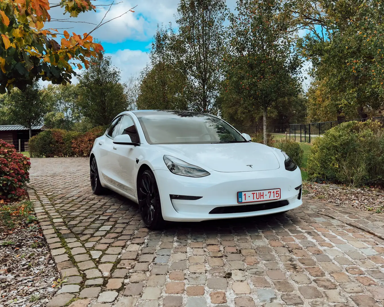 Tesla Model 3 Performance • Carbon Spoiler • 20" P-Velgen Wit - 1