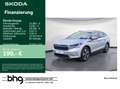 Skoda Enyaq iV 60 MatrixLED 3ZClimatronic Infotaiment Argent - thumbnail 1