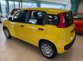 Fiat Panda Pandina 1.0 firefly hybrid Pop s Gelb - thumbnail 7