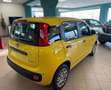 Fiat Panda Pandina 1.0 firefly hybrid Pop s Gelb - thumbnail 4